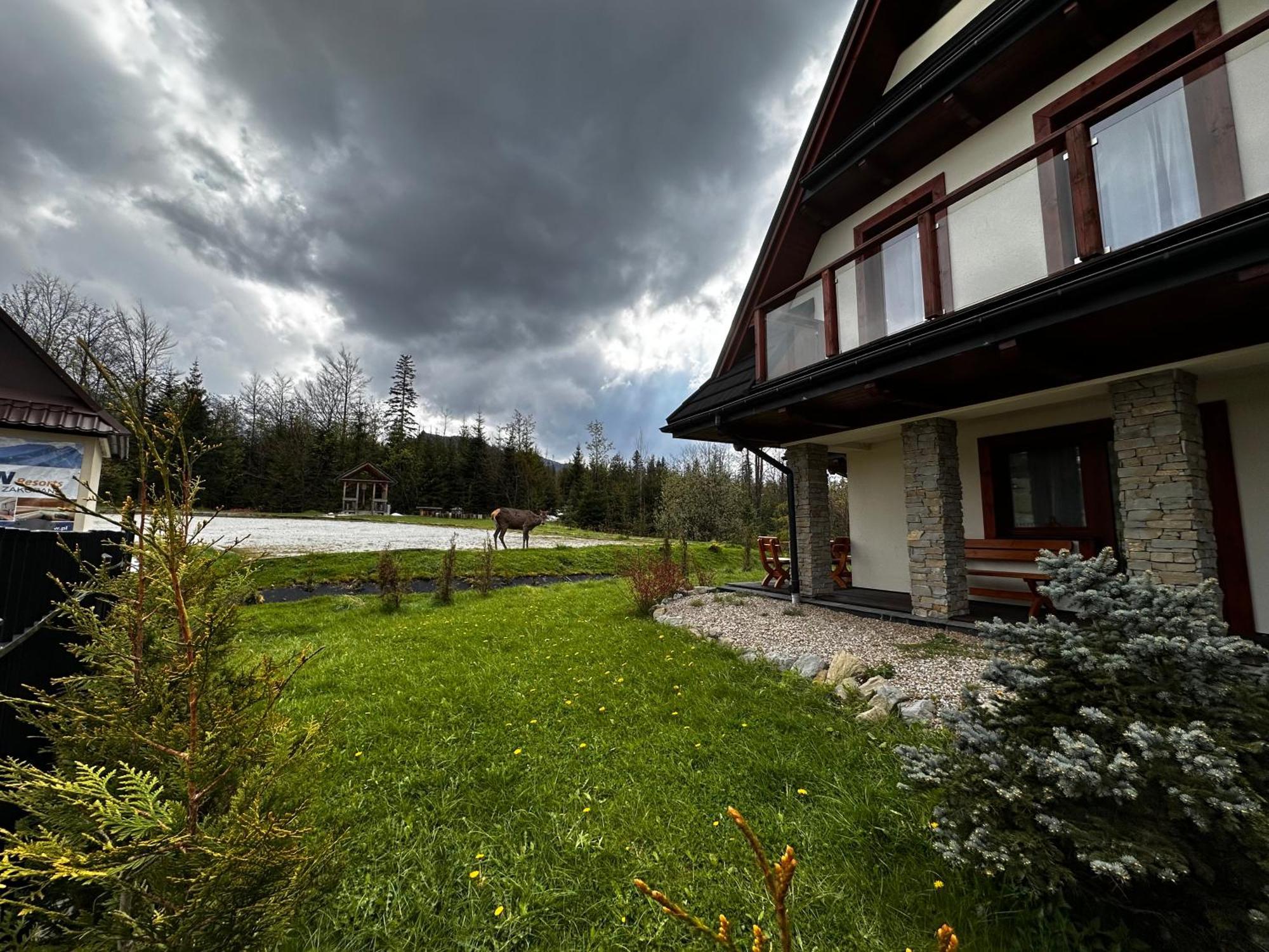 Apartamenty Willa Nika Zakopane Exterior photo