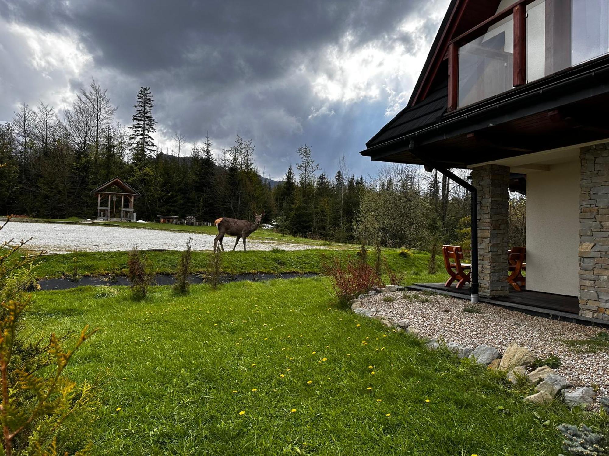 Apartamenty Willa Nika Zakopane Exterior photo